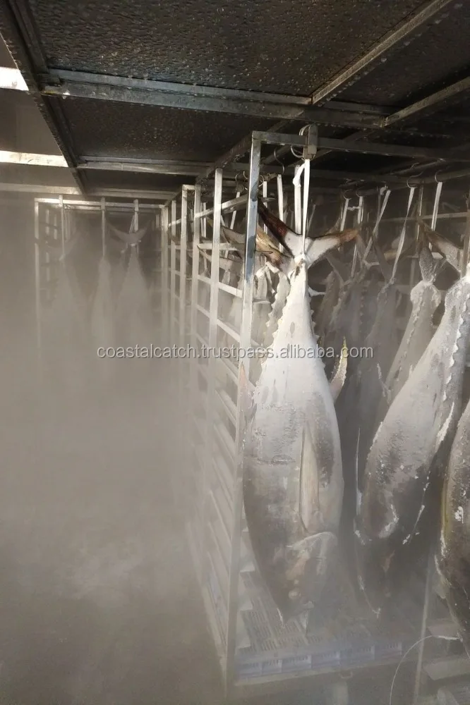 
YELLOW FIN TUNA 4kg/10kg 10KG/20KG, 20KG/30KG, 30KG/UP 