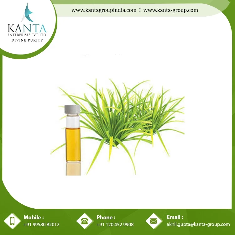 Organic Citronella Essential Oil - 100% Pure Natural Cymbopogon nardus Plant Extract used to stop Airborne Bacteria at Low Price