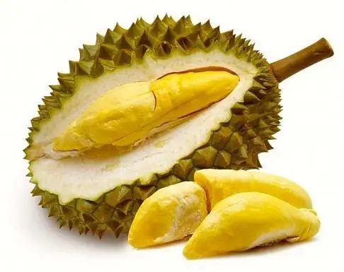 
HIGH QUALITY FRESH DURIAN FROM VIETNAM / Ms. Shyn Tran +84382089109 