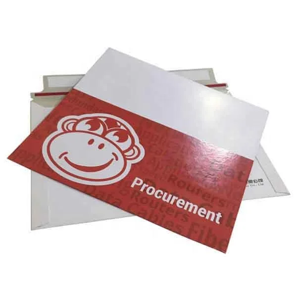 Индивидуальный дизайн, печатный логотип, картонные конверты для экспресс-доставки