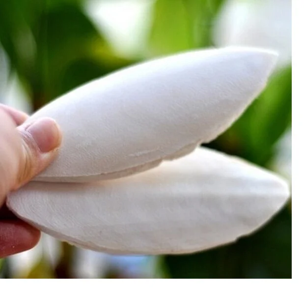 
Cuttle Fish Bone/ Cuttlefish Bone/Squid Bone For Producing Medicine (Ms Phoebe) 