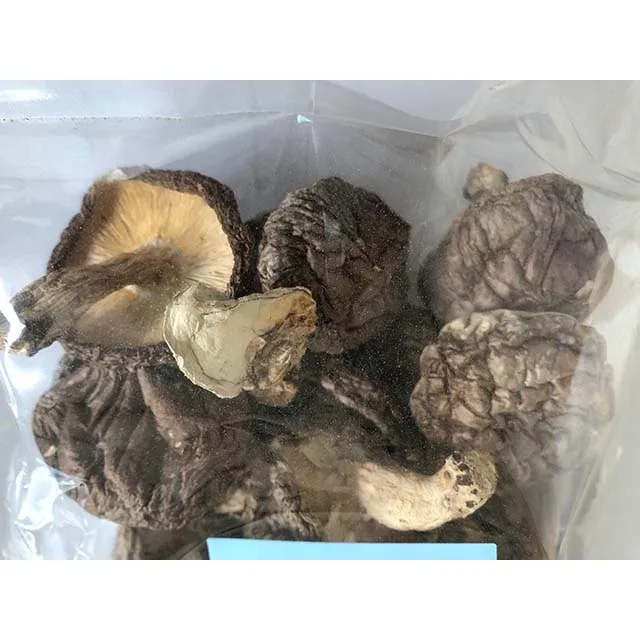 
Rare Whole Part Cultivated Dried mushroom JAS shiitake for longevity secret 