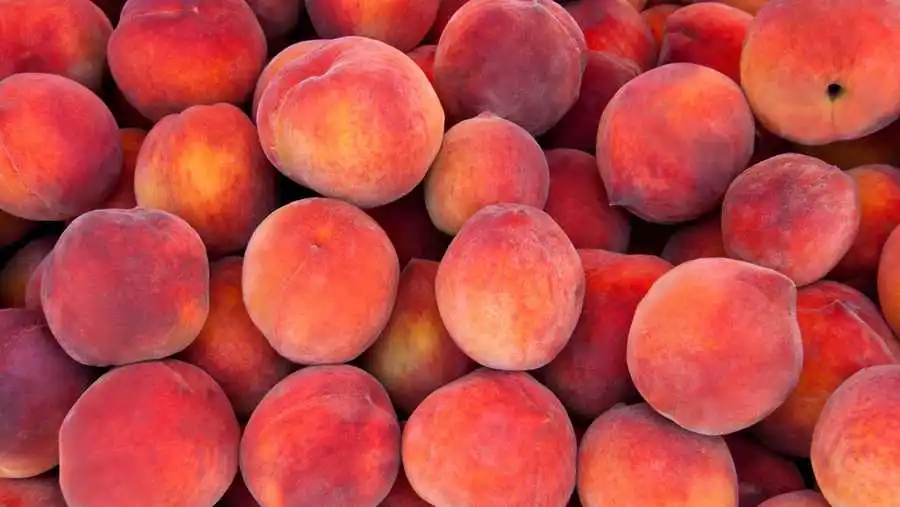 Fresh Peaches of Tunisia