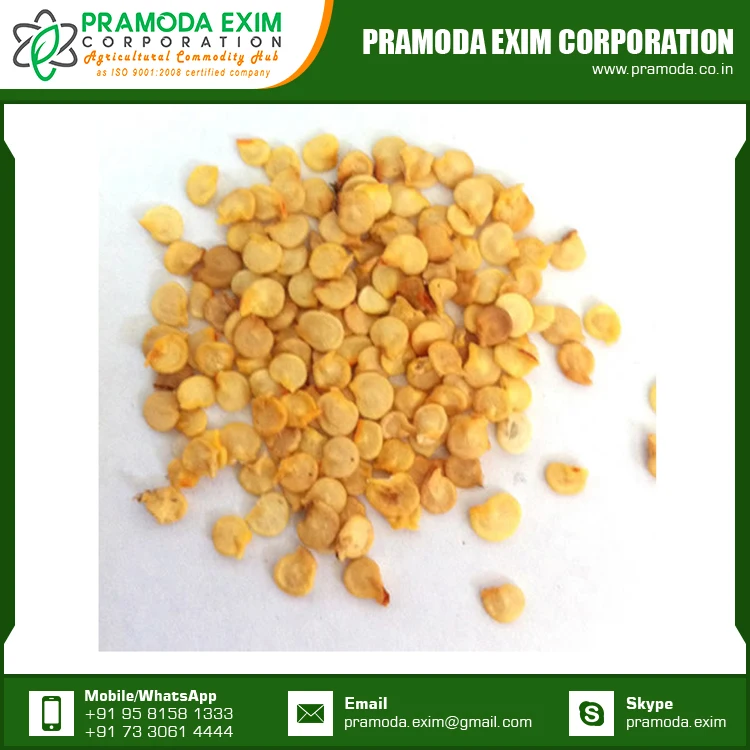 Bulk Hot Chili Seeds With Low MOQ