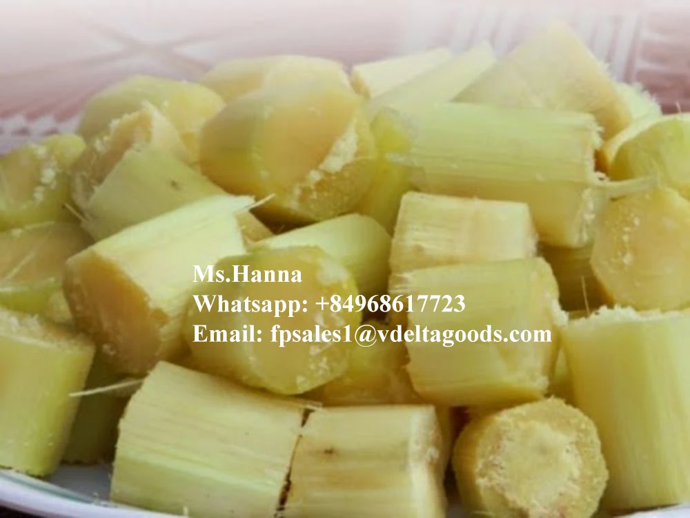 Fresh sugar cane for juice