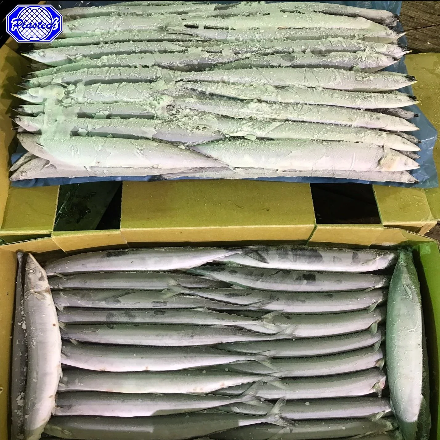 Свежие замороженные морепродукты, рыба Тихоокеанская саури, оптовая продажа