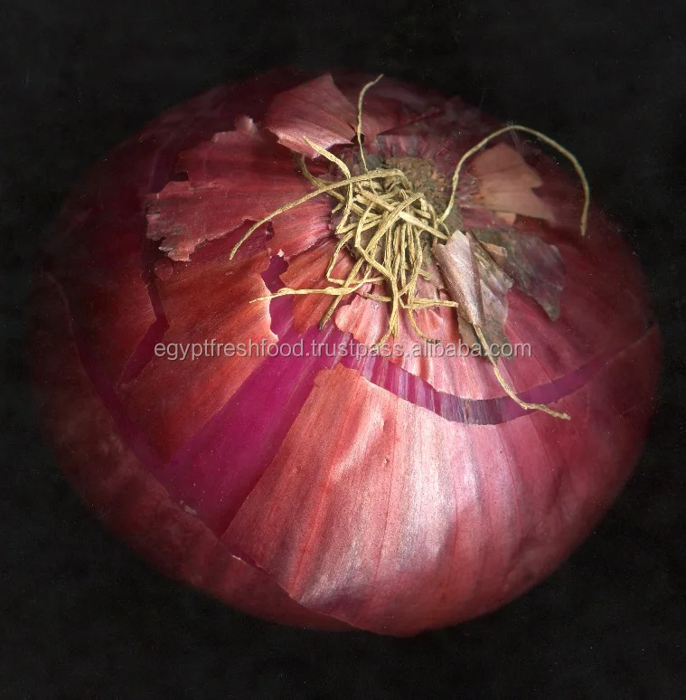 Red onion mesh bag 25Kg , fresh crop 2020 from Egypt , best price