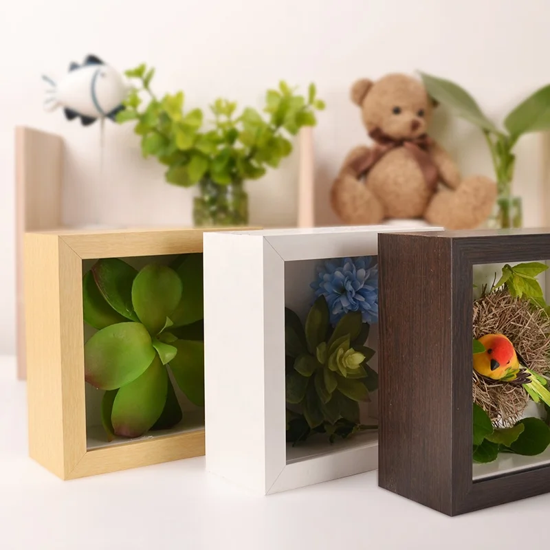 plastic square box 6x6 shadow box with plant