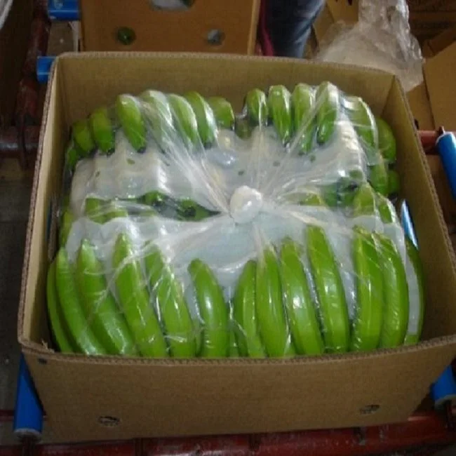 green cavendish bananas