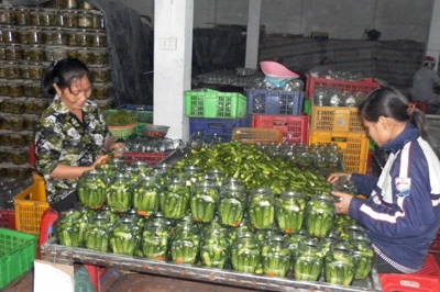  Секретные Марины для уборки/полукислая Марина/ферментированные огурцы уборки