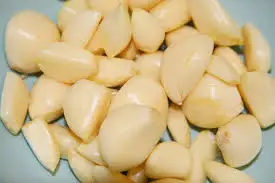 VIETNAM fresh garlic