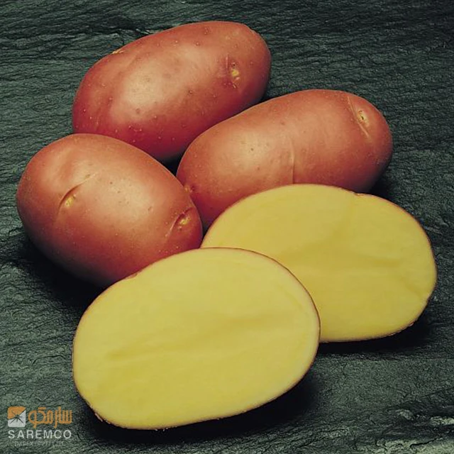Fresh Asterix Potato | New Harvest from Pakistan