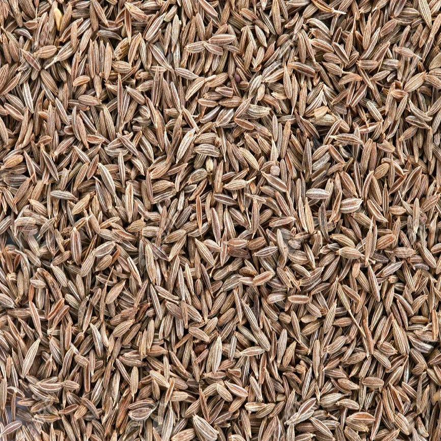 Best Wholesale supplier cumin seed from India 100% pure organic pack in 5kg 10kg 15kg bag with custom logo