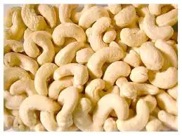 Cashew nut kernels WW240 BRC factory Vietnam Origin high quality competitive cheap price Hanfimex top supplier