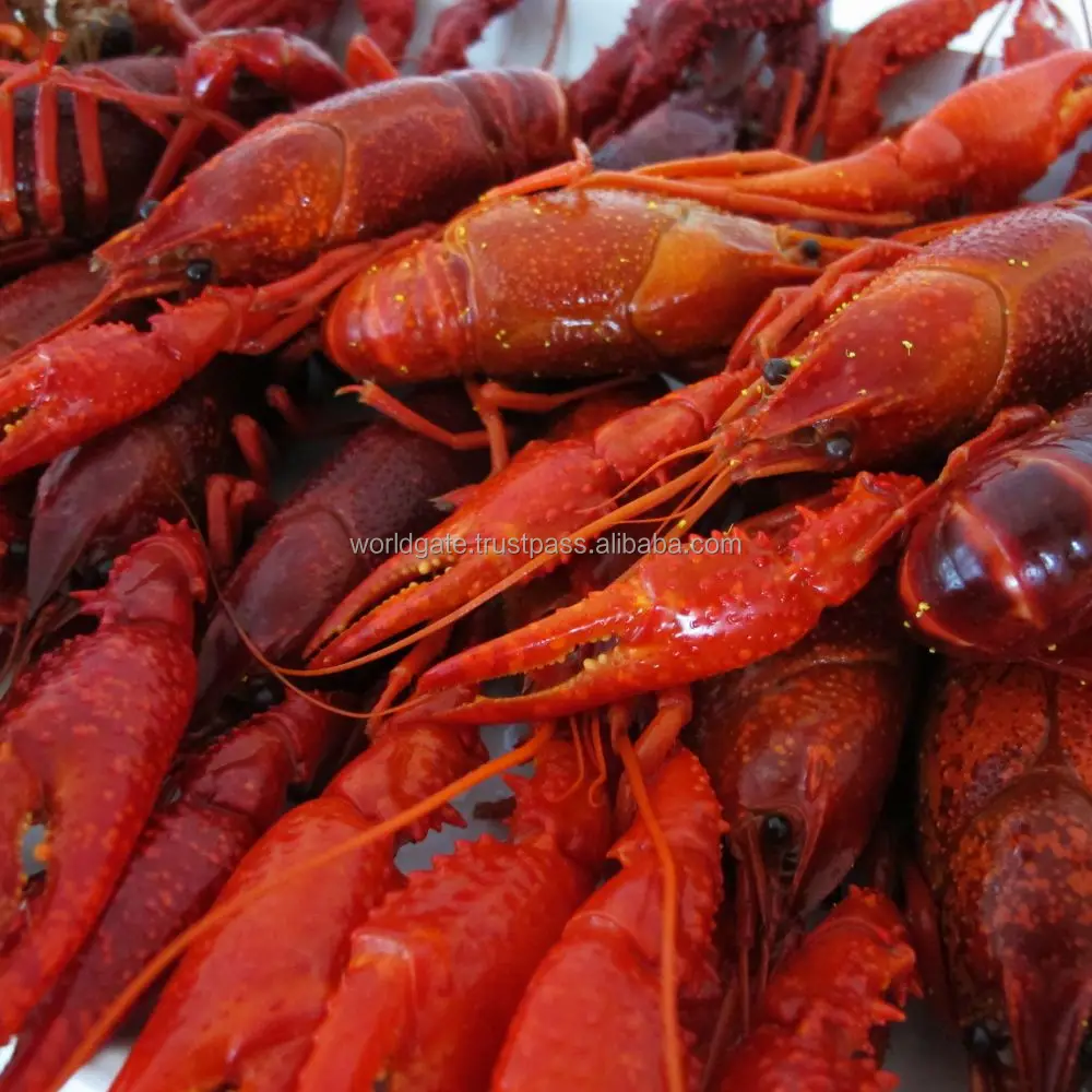 
Boiled / Frozen Crawfish origin the United States 