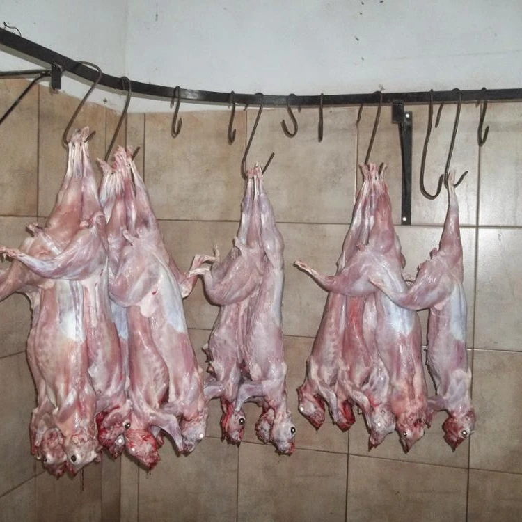 
Fresh Frozen Whole Rabbit Meat / Frozen Rabbit Meat and Parts 