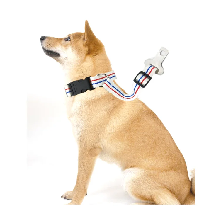 TAIWAN pet collars car safety dog seat belt