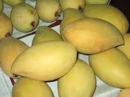  Свежее вкусное манго из Вьетнама по лучшей цене
