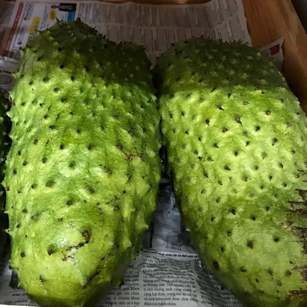 Дешевая цена в продаже замороженный SOURSOP высококачественный экспорт из Вьетнама/мс. Келли + 84 859300927
