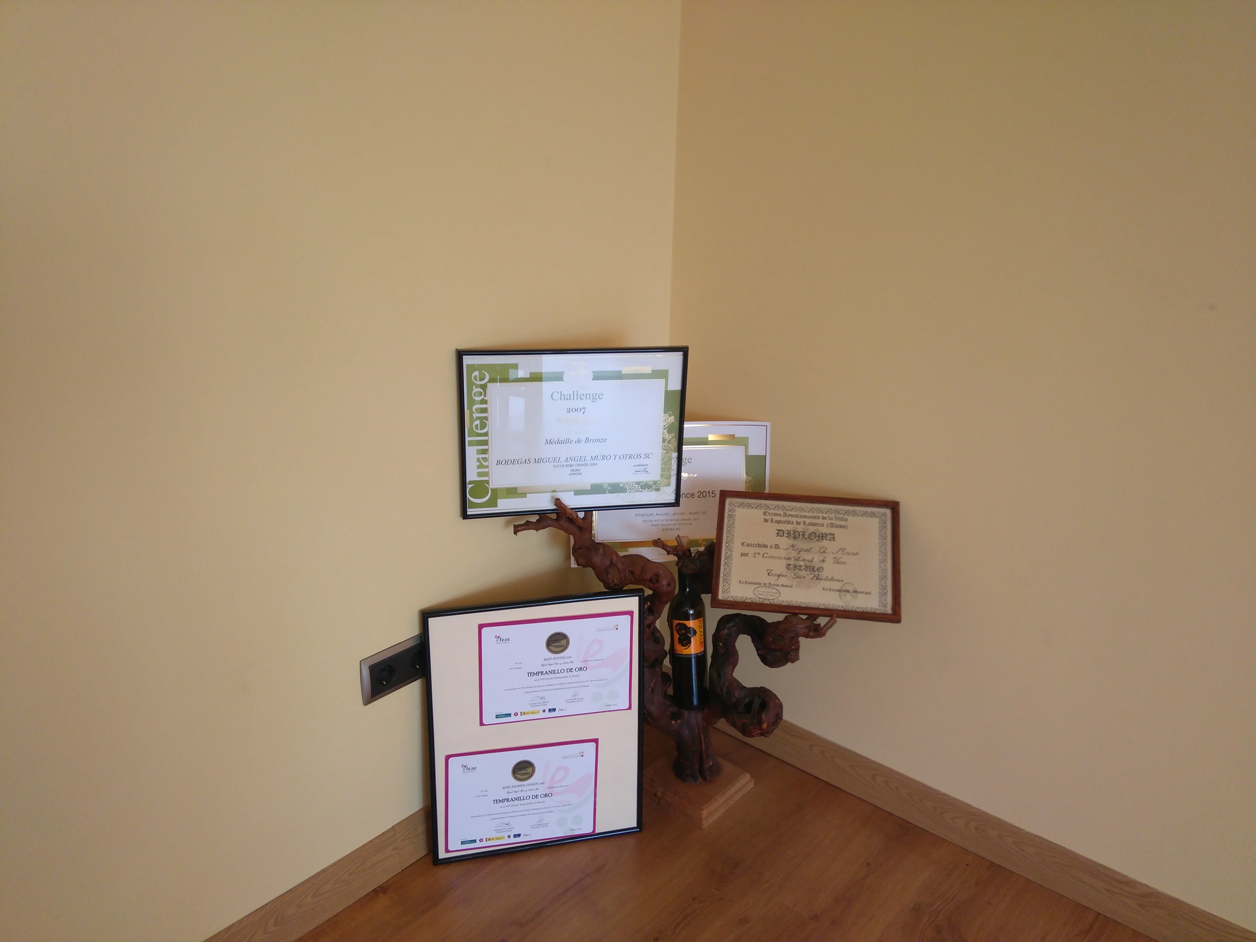 Spanish Doc Rioja Crianza hight quality wine Amenital