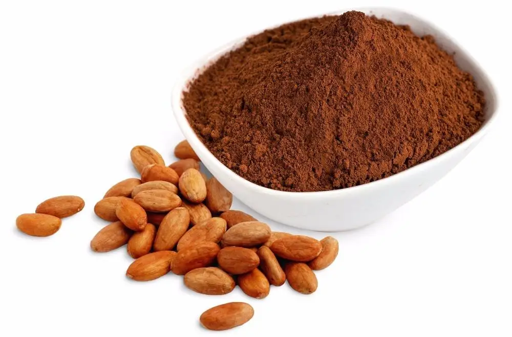 RAW CACAO PODER / COCOA POWDER ( WHATSAPP : +84-907 377 828 )