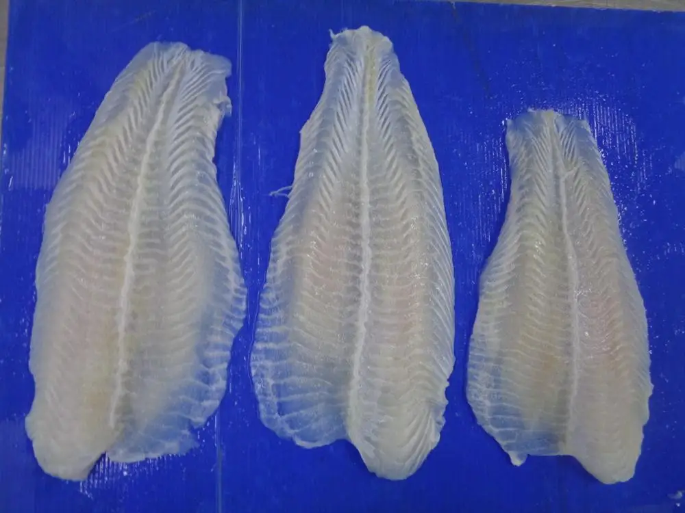  Premium Frozen Pangasius John Dory Fillet