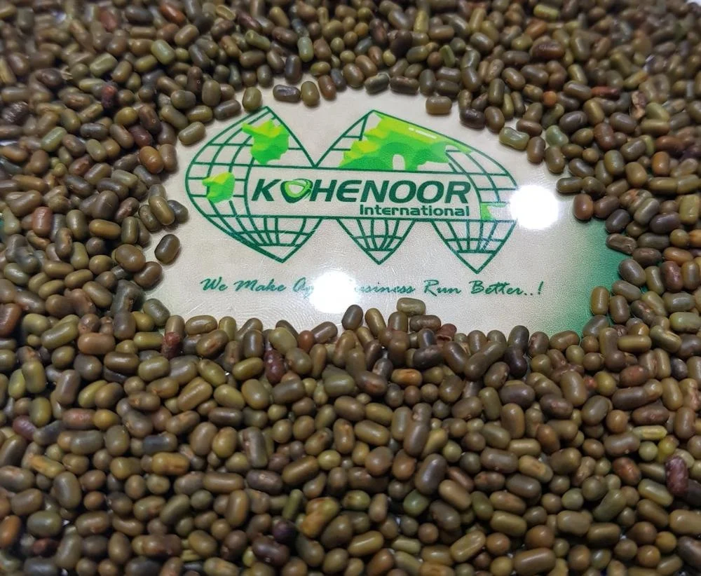 
Sesbani Sesban Seeds 