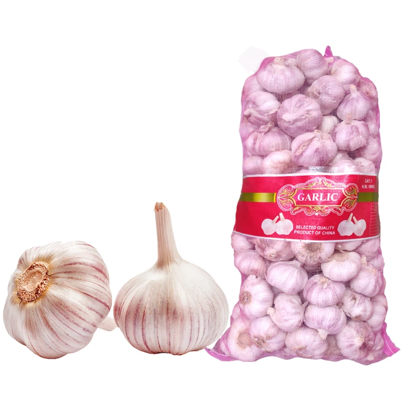 China Fresh Garlic Bawang Putih Price