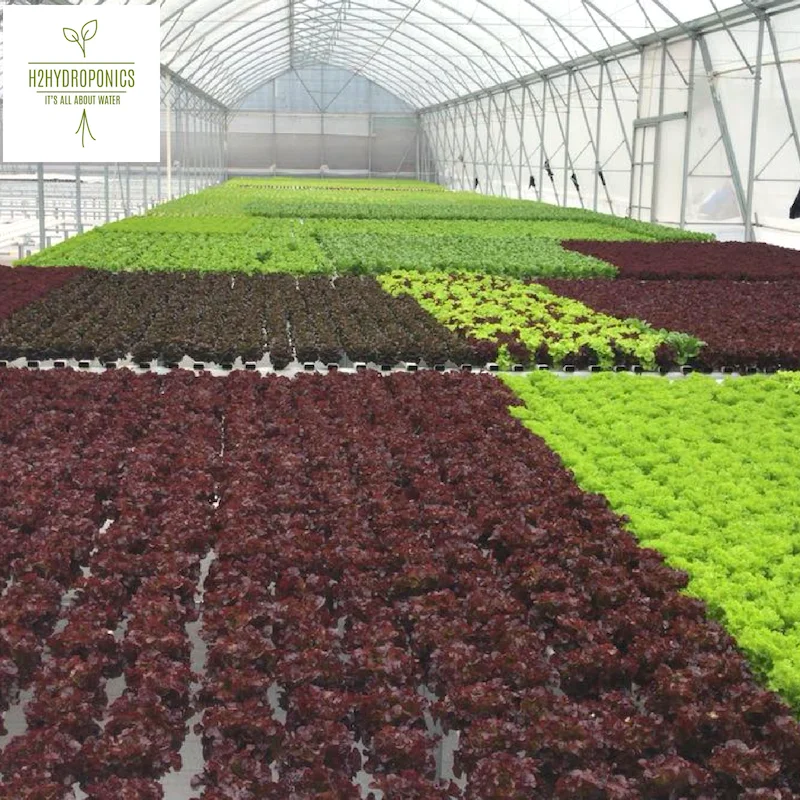 
Climate controllers, temperature sensor and other environment sensors for hydroponic greenhouse and vertical farming 