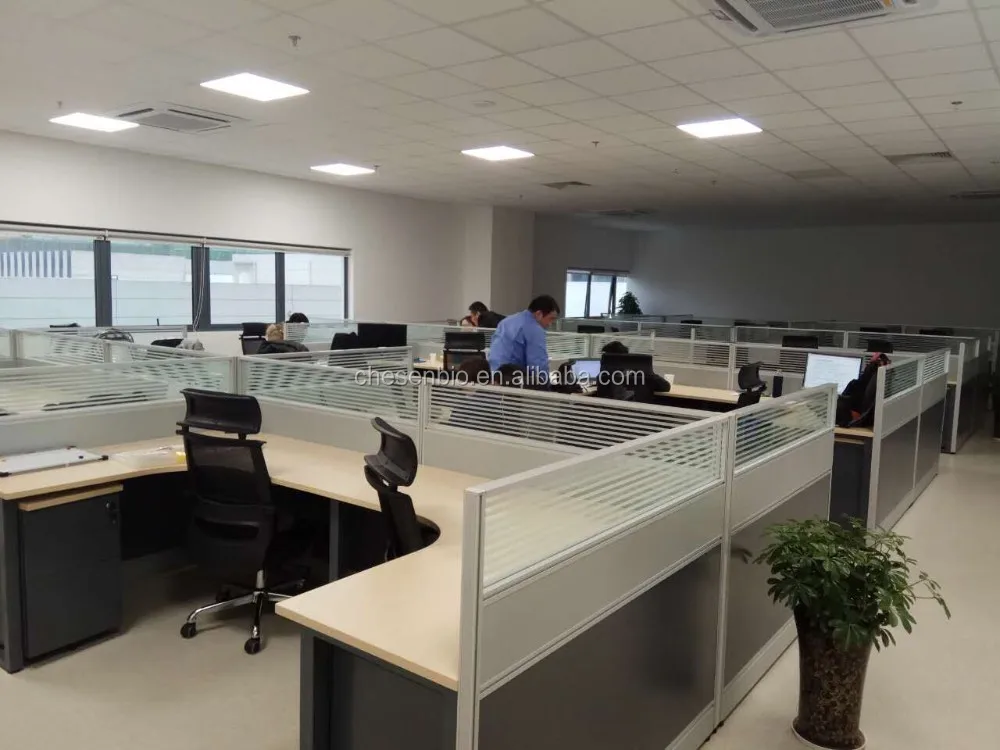 Chesen office