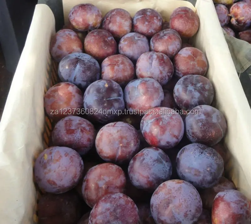 
fresh plum / fresh red plums and yellow / Natural fresh and sweet plums, export grade packed in export cartons 