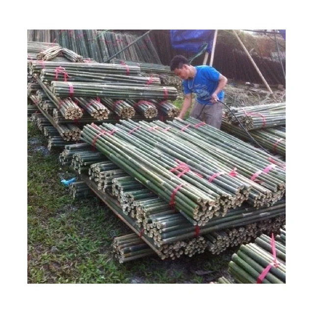
bamboo stick stake for flower nursery plant support 