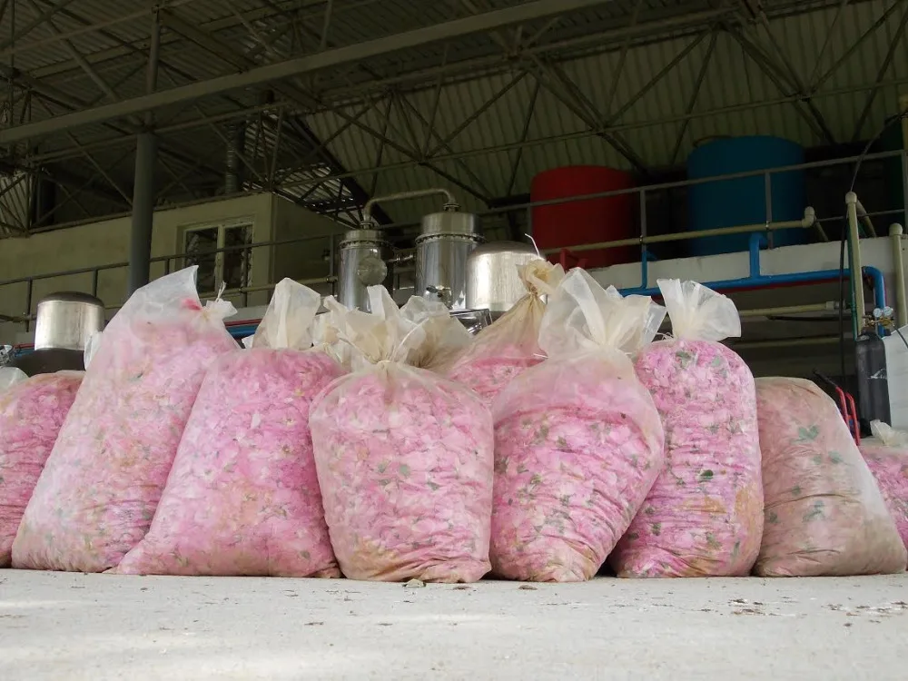  Комплект эфирных масел на водной основе для свечей из Болгарии высокого качества