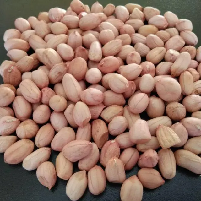 
Groundnut 