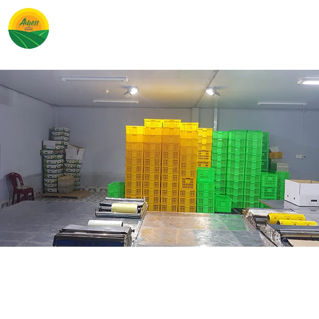 Кокос высшего качества по конкурентоспособной цене из Вьетнама