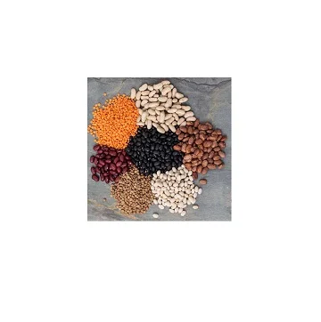 
Dry Lima Beans Large White Lima Bean for sale 