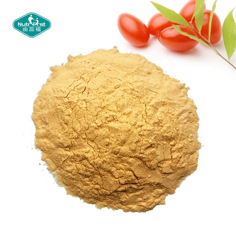 Chinese Professional Manufacturer 100% Pure Frozen-Dry Black Goji Berry Powder Wolfberry Fruit Anthocyanin Extract