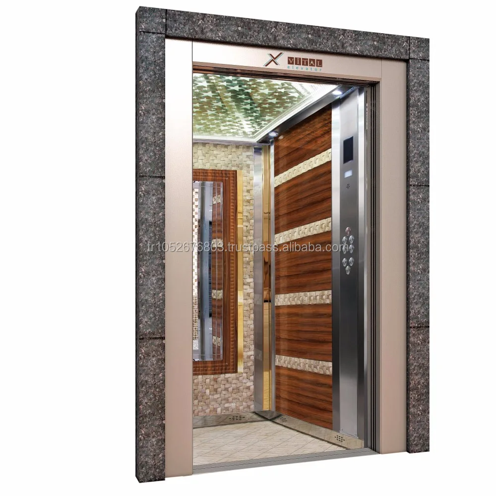 Elevator Door Elevator Parts Small Home Lift Load Lift Hospital Lift Vital Elevator Small Cabin Passenger Ascenseur 2 Years VTO