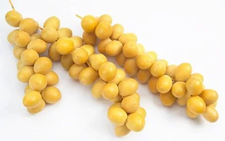 
yet only four varieties were found to have significant health benefits: yellow Barhi, Deri, Medjool and Halawi. 