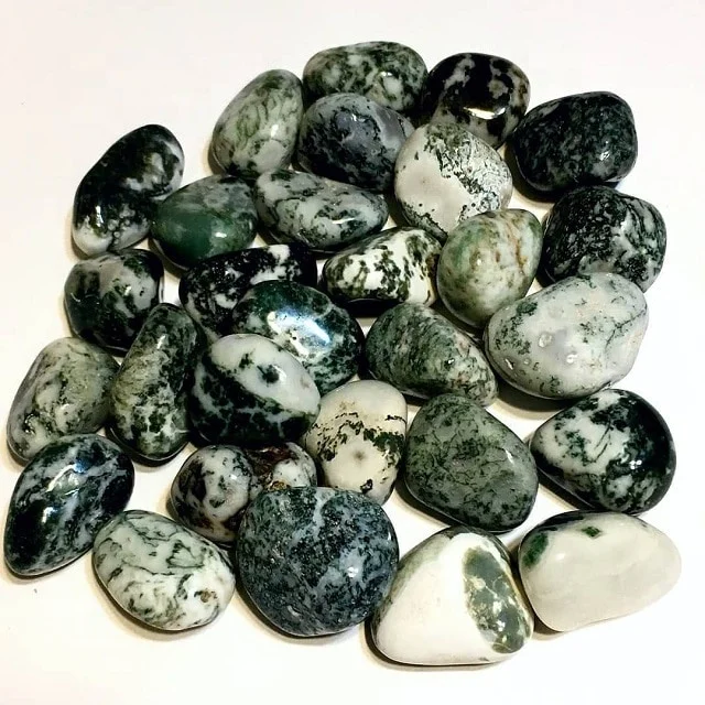 
Tree Agate Tumbled Stone : Buy Online From Noor Agate From India 