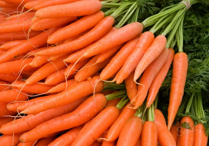 
High quality and best price for fresh carrot 2018 