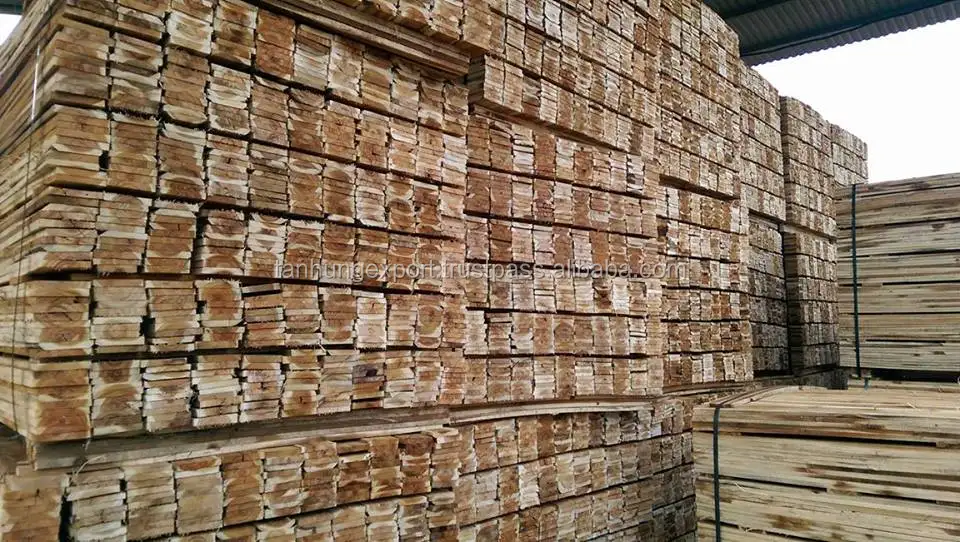 Древесина акации-Древесина акации