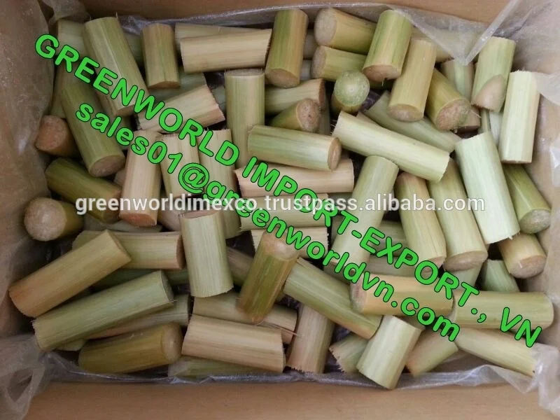 Frozen sugarcane with amazing taste from Vietnam with competitive price