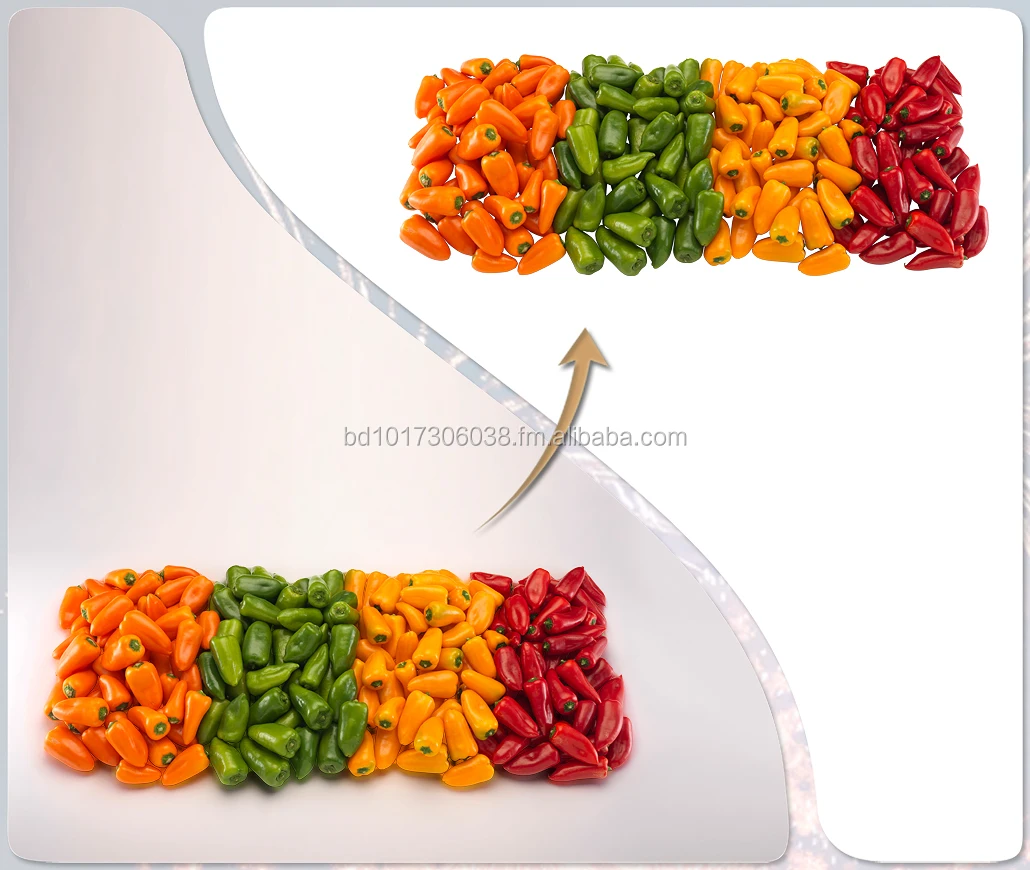 
Image Masking & Clipping paths Services- Background Removal for eCommerce websites 