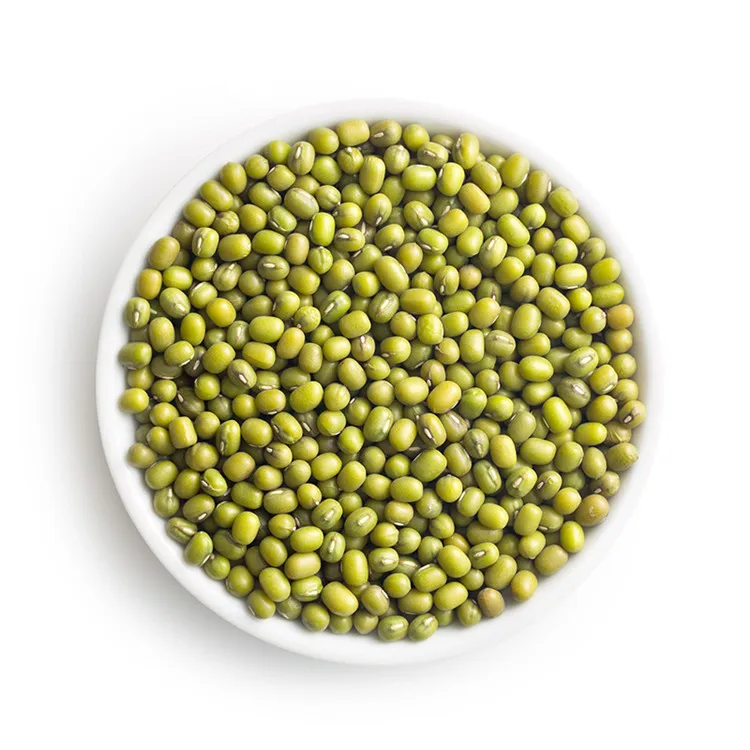 
Seeds mung beans sprouted mung bean high sprouting grade for Vietnam market 