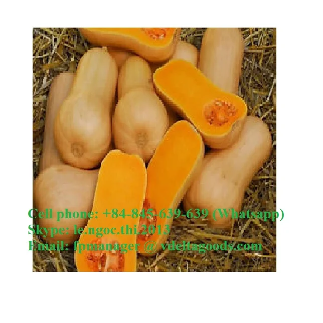 Fresh Natural Frozen pumpkins 100%