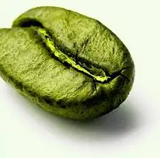 COMPETITIVE PRICE OF GREEN COFFEE BEAN VIETNAM