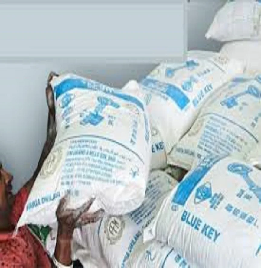 Wheat Flour for Bread making for sale
