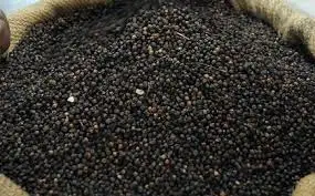 DRIED BLACK PEPPER 550/560/570/580GL ORIGINAL FROM VIETNAM
