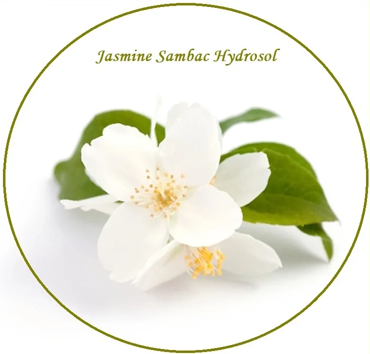Высококачественный антивозрастной Жасмин гидрозол от производителя и оптового поставщика по всему индии